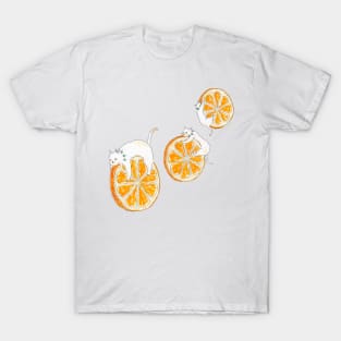 Orange Kittens T-Shirt